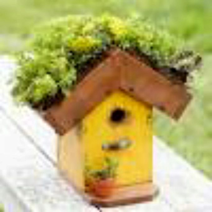How To Build A Birdhouse