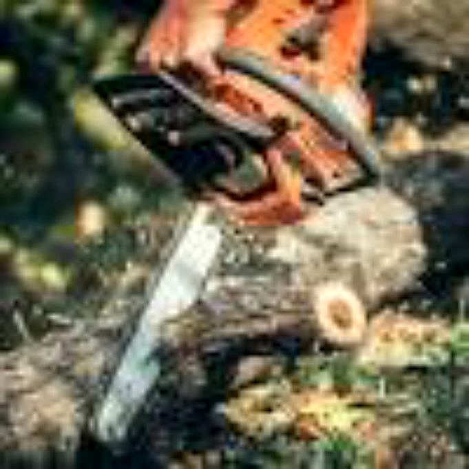 The Best Gas Chainsaws For The Money 2022 - Comparisons And Reviews